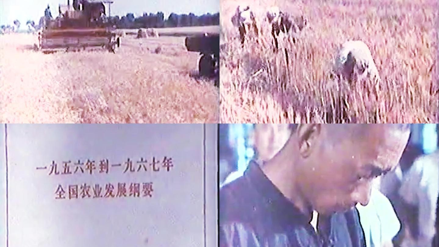 60年代新中国农业生产