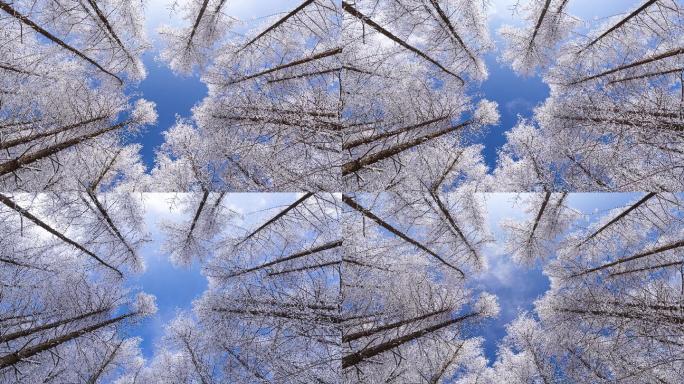 6k冬天山川树林仰拍冰雪延时摄影