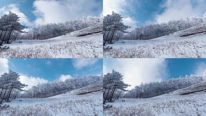6k冬天山川树林冰雪延时摄影