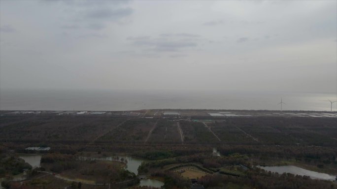 上海海湾国家森林公园上海海边4K原素材