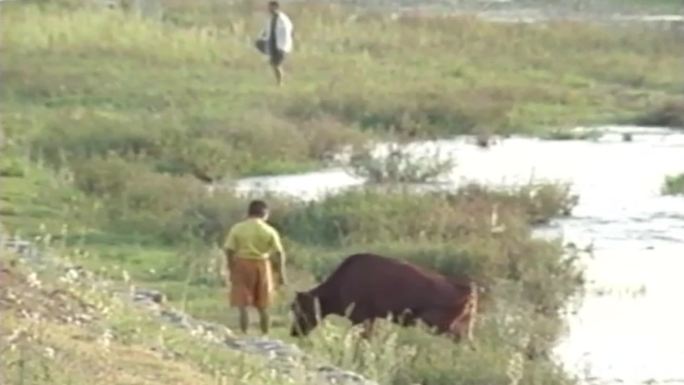 上世纪陕西朱鹮保护区、上世纪农村景象