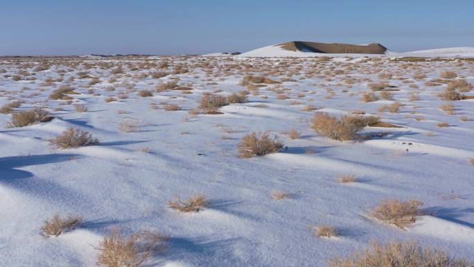 大漠荒滩雪地枯草