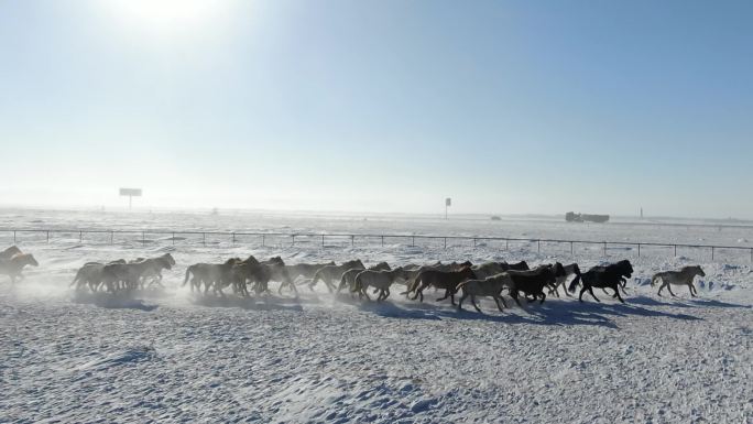 大气升格航拍内蒙古锡林浩特雪原