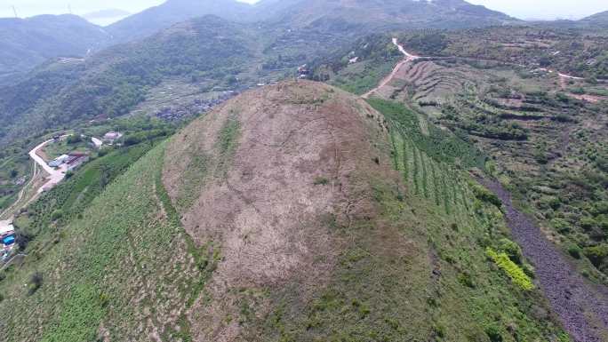 航拍玉环火山口遗址火山茶园