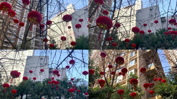 社区迎新春春节树上挂红灯笼