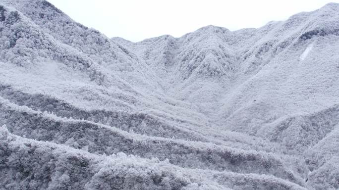 【4K原创视频】光雾山雪景