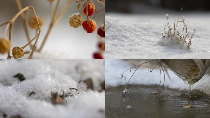 下雪雪花雪景特写4K