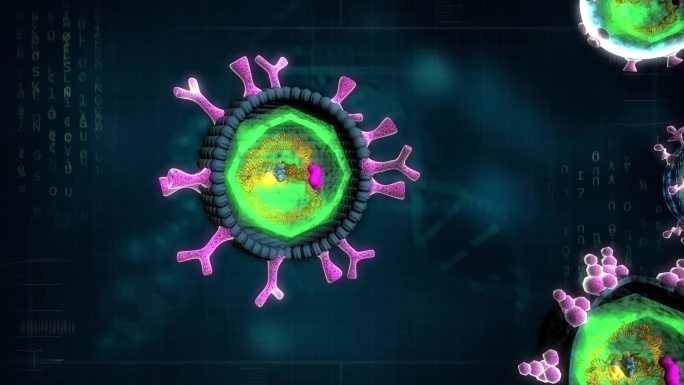 几种病毒结构核酸和表面抗原刺突蛋白