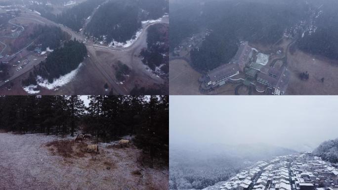 重庆仙女山下雪雪花飞舞寒冬腊月（可商用）