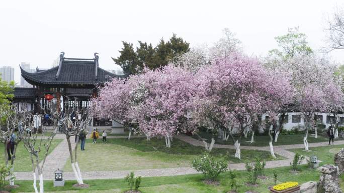 南京莫愁湖