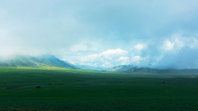 草原仙境风光蒙古新疆4K