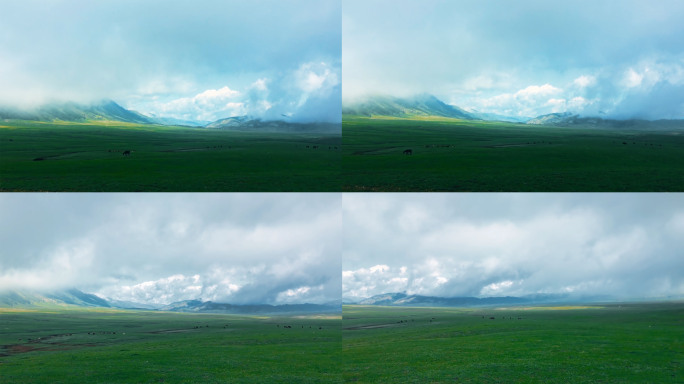 草原仙境风光蒙古新疆4K