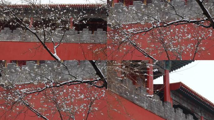 高清实拍故宫城墙白雪覆盖树枝