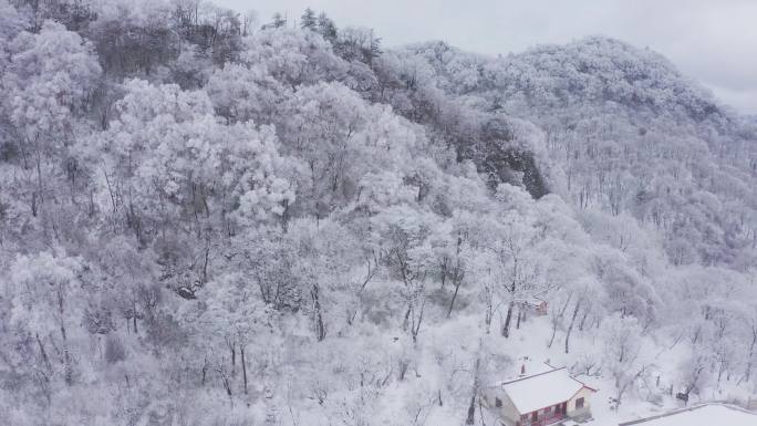 4K航拍陕西秦岭紫柏山雪景雾凇