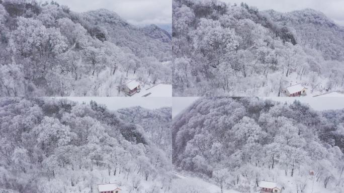 4K航拍陕西秦岭紫柏山雪景雾凇