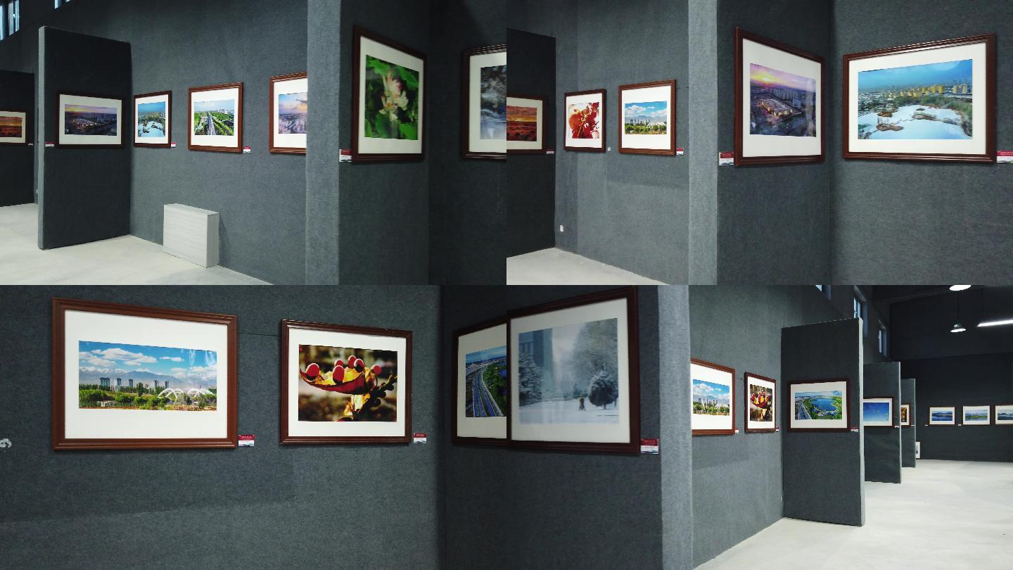 室内展馆照片墙