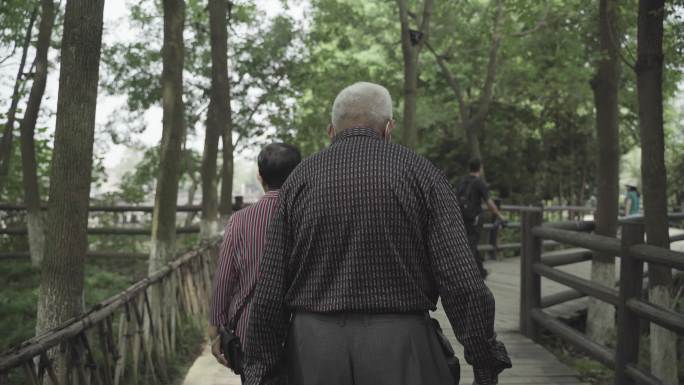 公园老人晚年生活惬意走路逛公园