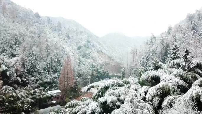 雪山航拍，航拍，雪景，下雪，初雪，竹林