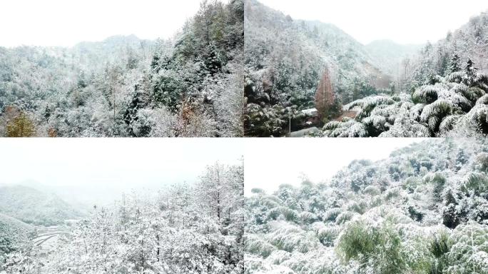 雪山航拍，航拍，雪景，下雪，初雪，竹林