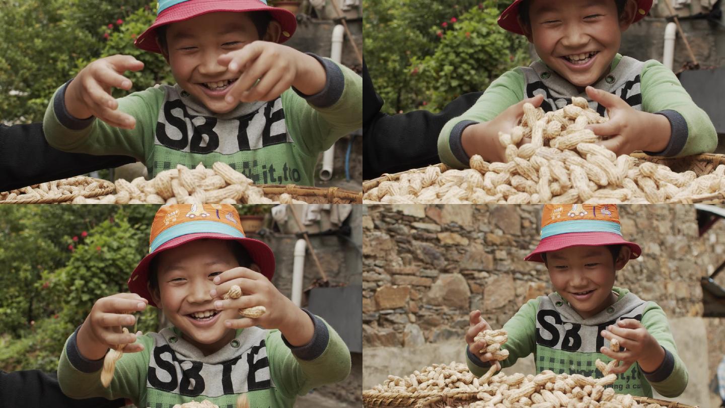 扶贫藏民孩子丰收花生