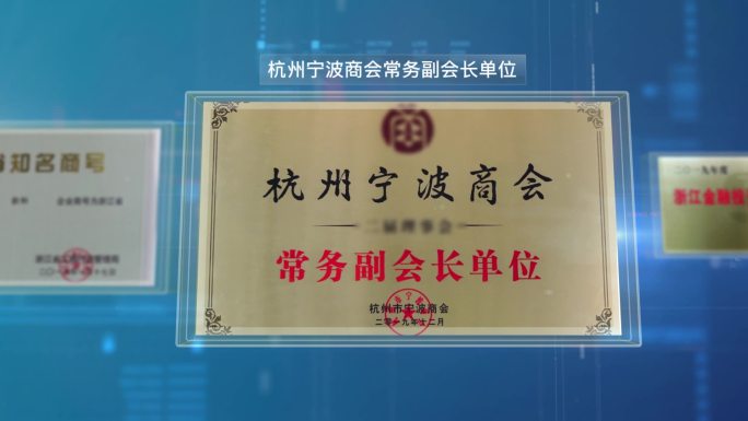 两款科技大气政府企业获奖荣誉证书展示