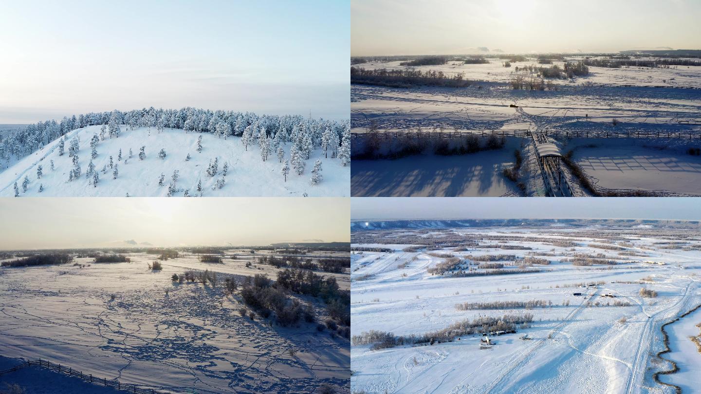 雪景下大雪树挂森林