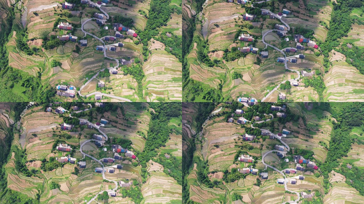 重庆山王坪梯田