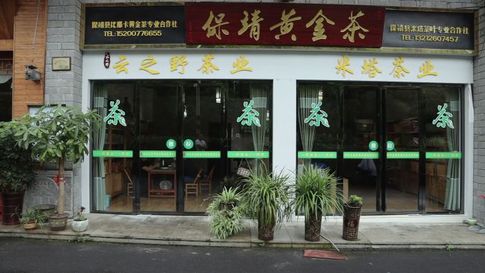 茶叶 茶山云海茶店实拍