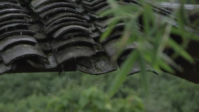 雨中的房檐