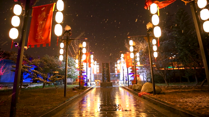 新年成都雪夜城市公园雪花飘飞