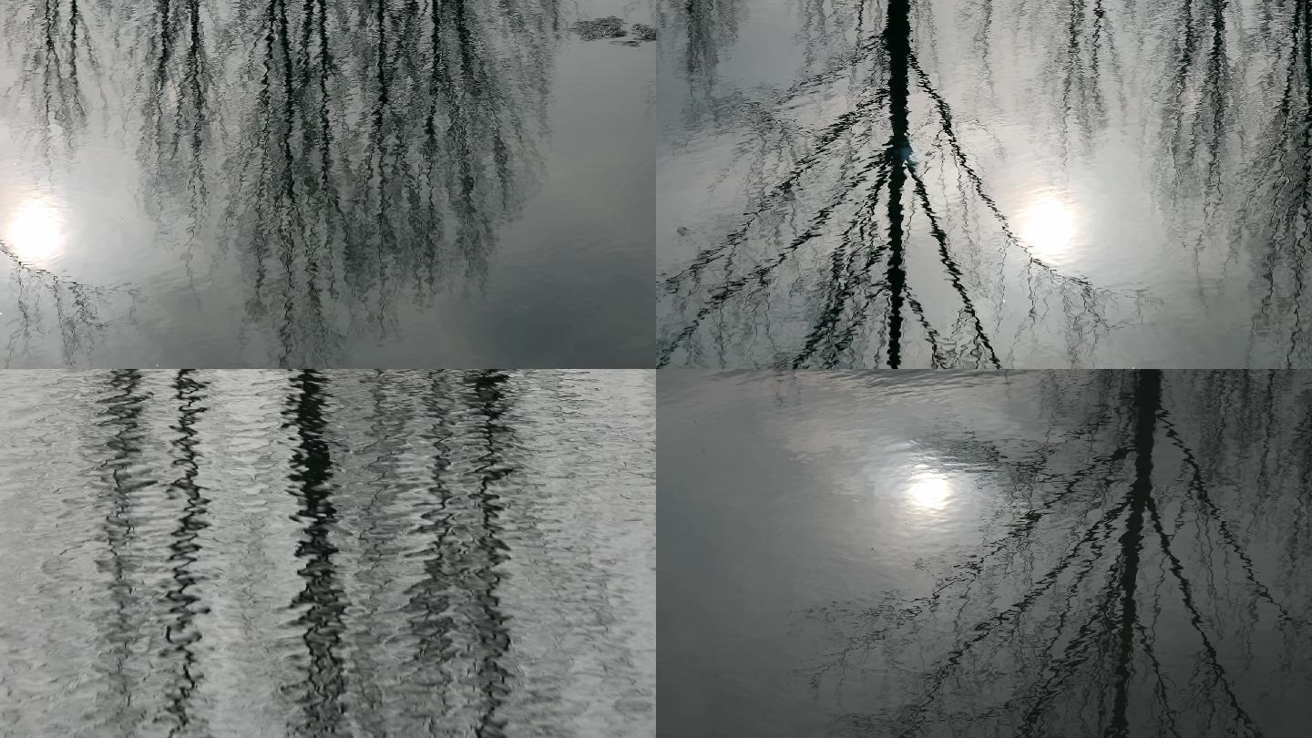 中国风水墨树的影子倒映到水里