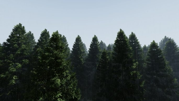 烟雨朦胧中国风树林