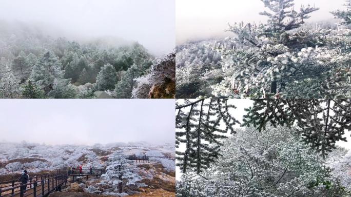 云南轿子雪山雾凇奇观延时