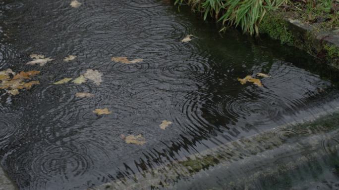 落叶流水4K