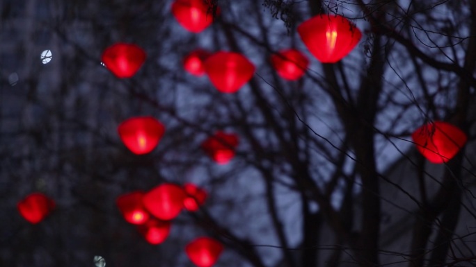 红灯笼夜景