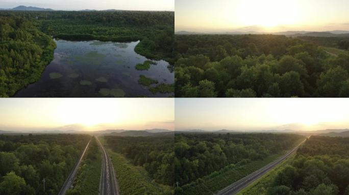 湿地 森林 铁路 逆光 火车道 铁轨