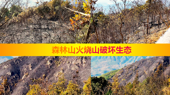 【商用版权】森林大火烧山生态破坏