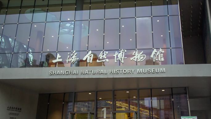 上海自然博物馆高清实拍