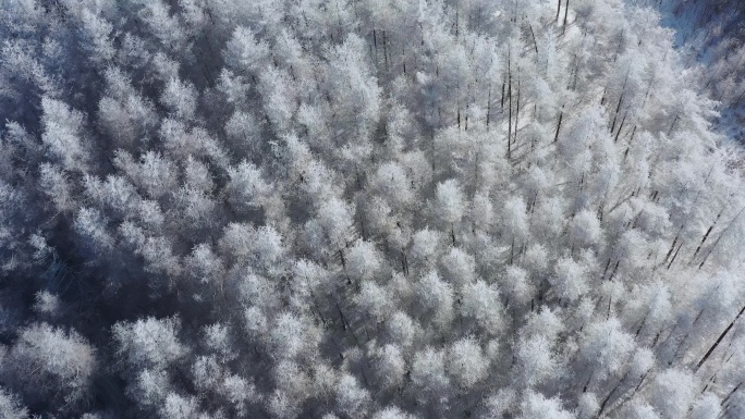 4k航拍恩施雪山雾凇风光