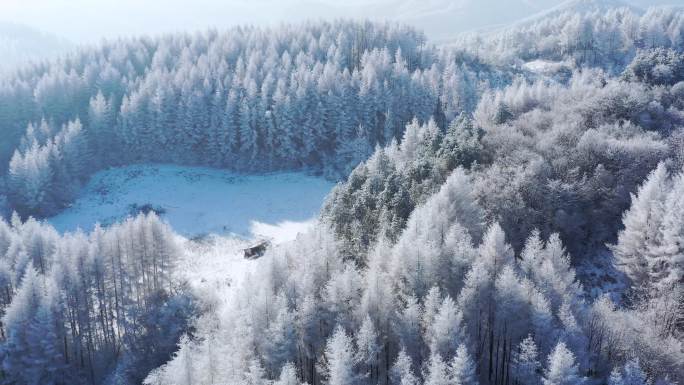 4k航拍恩施雪山雾凇风光