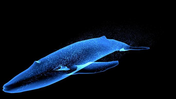 粒子鲸鱼-alpha透明通道