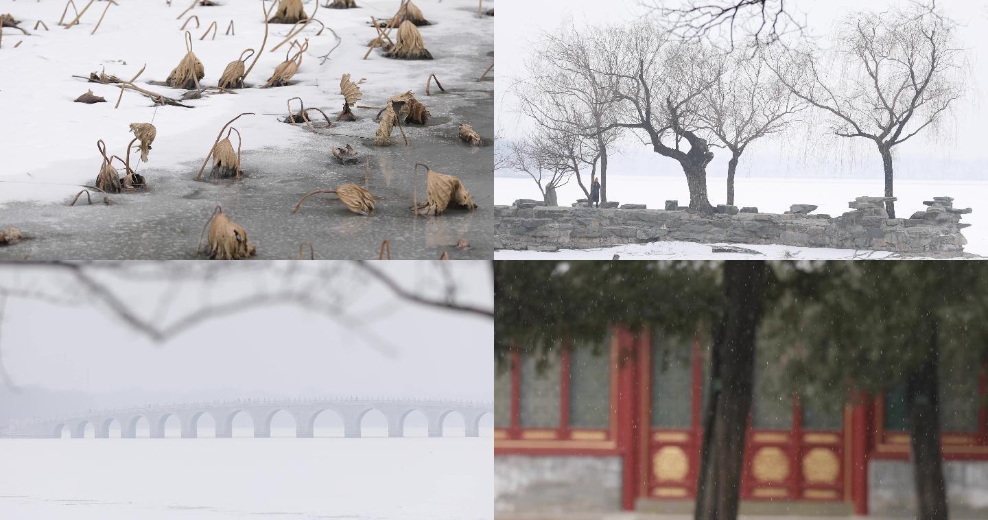 冬天，枯荷空镜，凄凉，北京冬，雪景意境