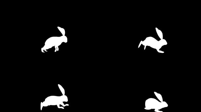 兔子通道兔子蹦跳循环素材