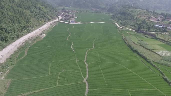 航拍农村田野远景素材