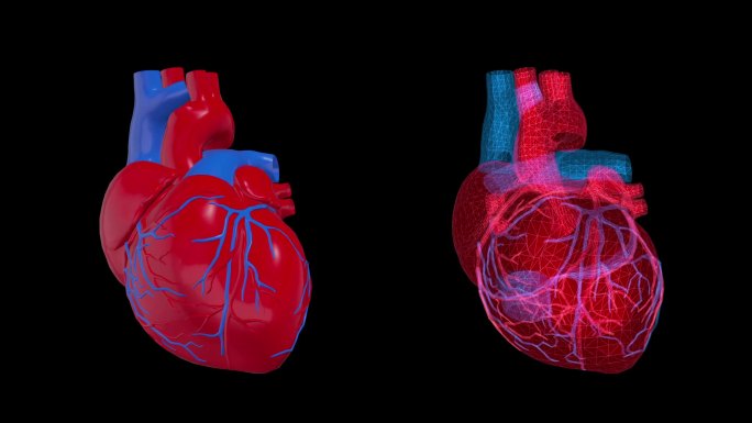 心脏跳动3D视频4K