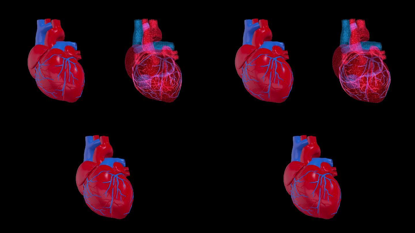 心脏跳动3D视频4K