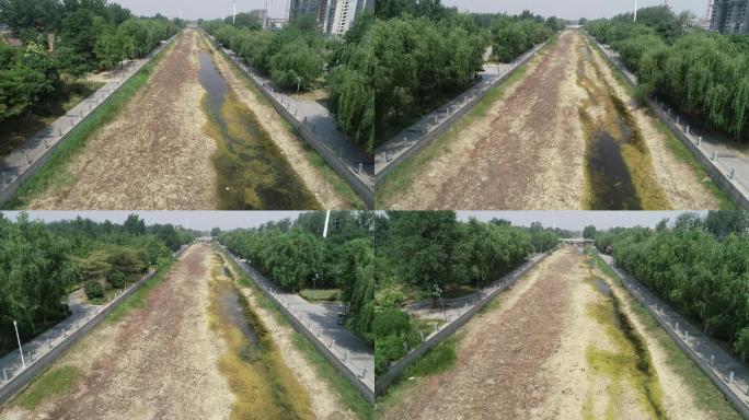 河道绿化改造（2K）