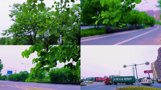 道路车流常用视频素材