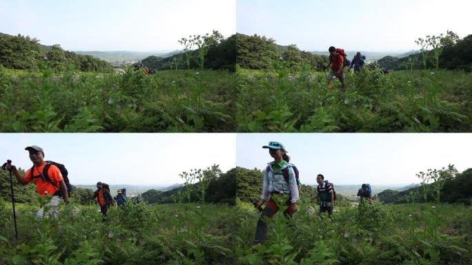 健康徒步锻炼登山