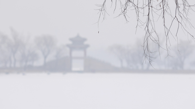 伤感冬天，结冰，公园写意，意境雪景4k